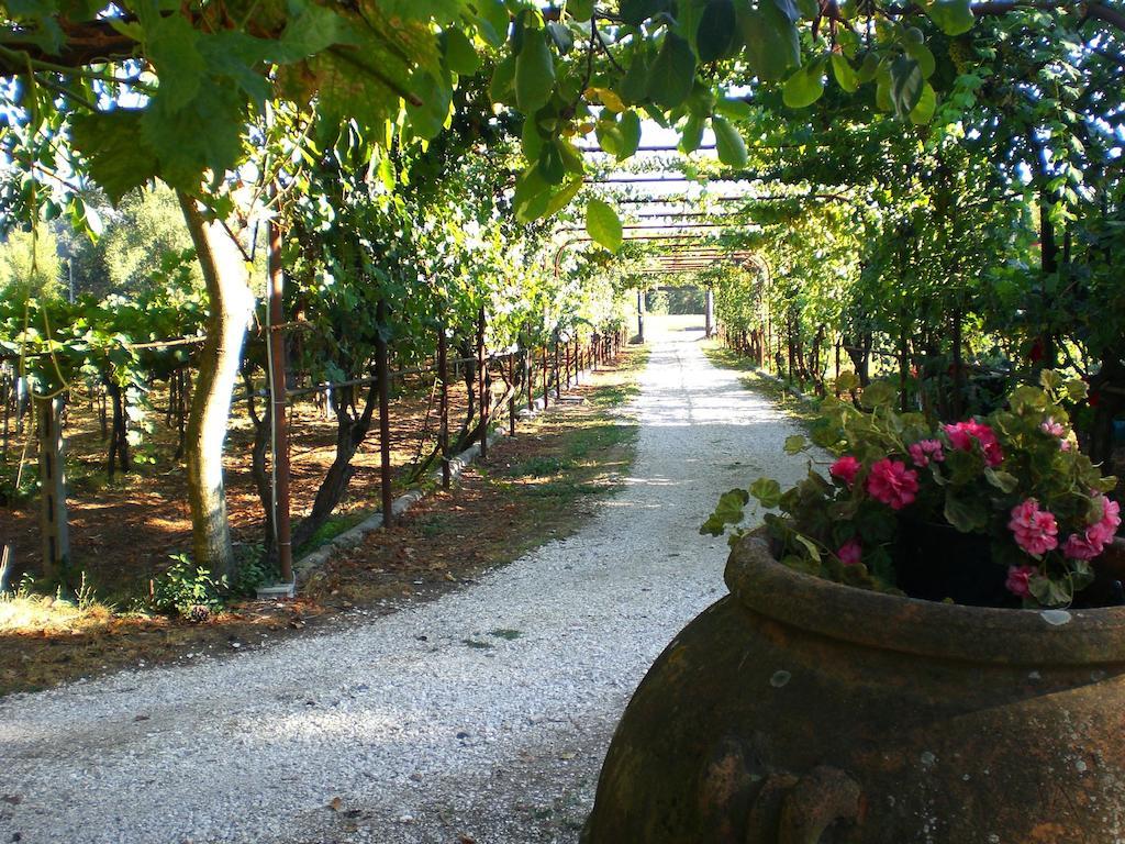 Vakantieboerderij Valle Degli Arci