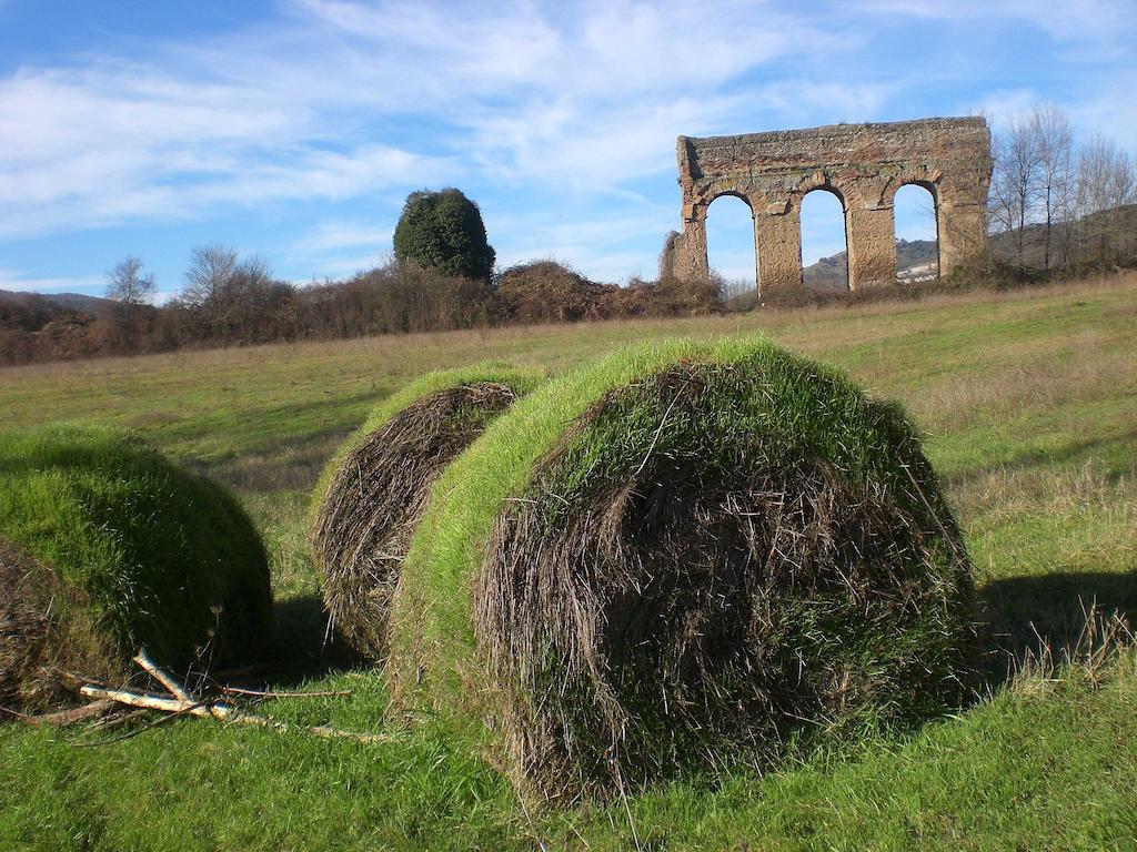 Alloggio per agriturismo Valle Degli Arci